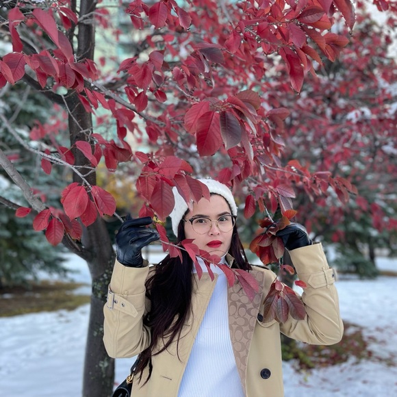 Meet your Posher, Glendel - Picture 1 of 1